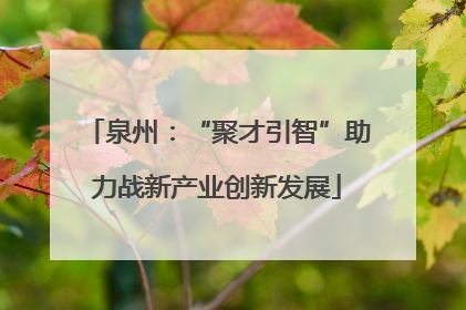 泉州：“聚才引智”助力战新产业创新发展