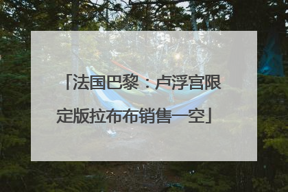 法国巴黎：卢浮宫限定版拉布布销售一空
