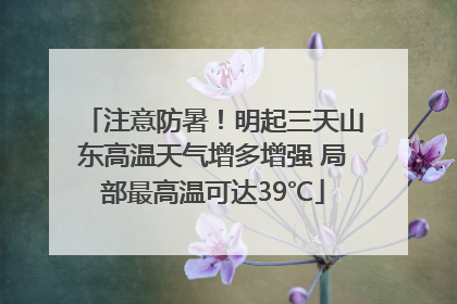 注意防暑！明起三天山东高温天气增多增强 局部最高温可达39℃