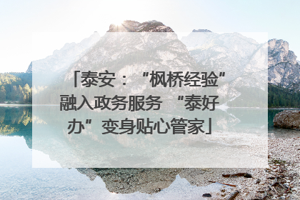 泰安：“枫桥经验”融入政务服务 “泰好办”变身贴心管家