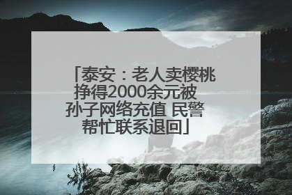泰安：老人卖樱桃挣得2000余元被孙子网络充值 民警帮忙联系退回