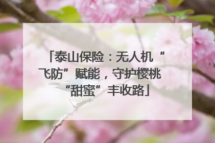 泰山保险：无人机“飞防”赋能，守护樱桃“甜蜜”丰收路