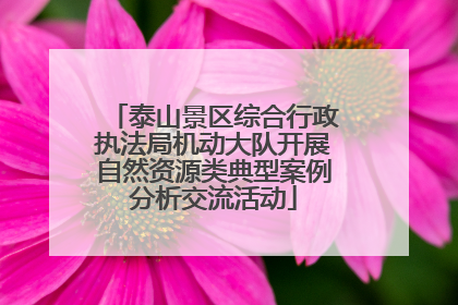 泰山景区综合行政执法局机动大队开展自然资源类典型案例分析交流活动