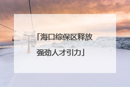 海口综保区释放强劲人才引力