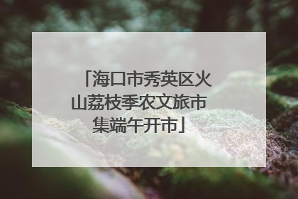 海口市秀英区火山荔枝季农文旅市集端午开市