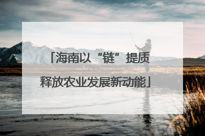 海南以“链”提质 释放农业发展新动能