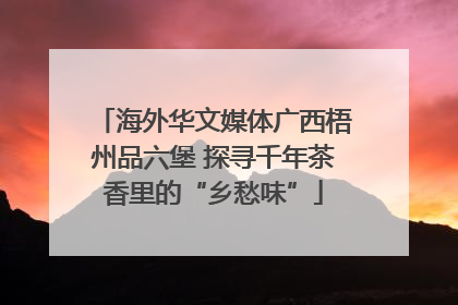 海外华文媒体广西梧州品六堡 探寻千年茶香里的“乡愁味”