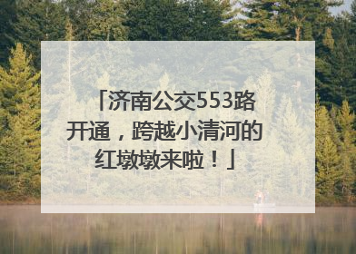 济南公交553路开通，跨越小清河的红墩墩来啦！