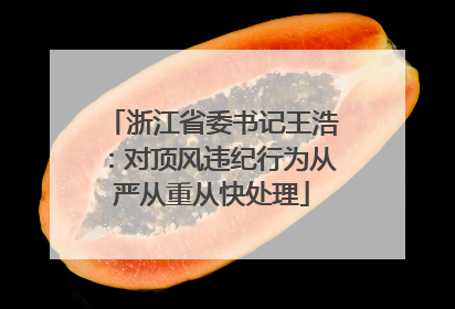 浙江省委书记王浩：对顶风违纪行为从严从重从快处理