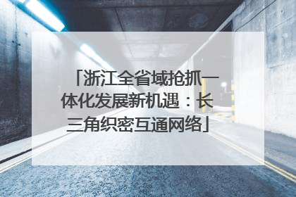 浙江全省域抢抓一体化发展新机遇：长三角织密互通网络