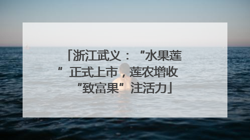 浙江武义：“水果莲”正式上市，莲农增收“致富果”注活力