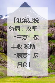 淮滨县税务局：攻坚“三夏”保丰收 税助“弱麦”尽归仓