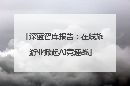 深蓝智库报告：在线旅游业掀起AI竞速战