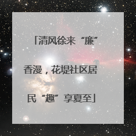 清风徐来“廉”香漫，花堤社区居民“趣”享夏至