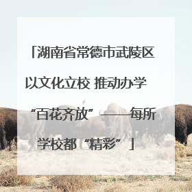 湖南省常德市武陵区以文化立校 推动办学“百花齐放”——每所学校都“精彩”