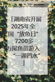 湖南省开展2025年全国“放鱼日” 7200多万尾鱼苗游入“一湖四水”