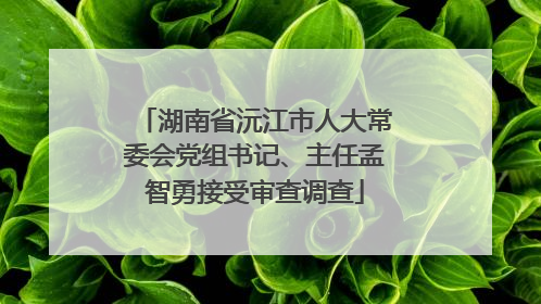 湖南省沅江市人大常委会党组书记、主任孟智勇接受审查调查
