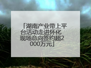 湖南产业带上平台活动走进怀化 现场意向签约超2000万元