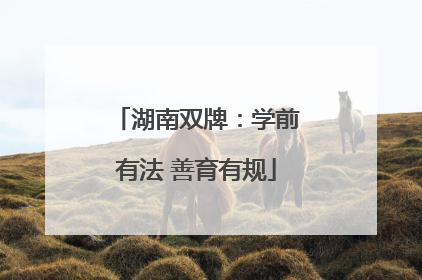 湖南双牌：学前有法 善育有规