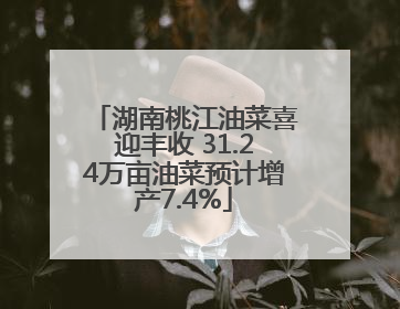 湖南桃江油菜喜迎丰收 31.24万亩油菜预计增产7.4%