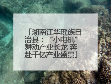 湖南江华瑶族自治县：“小电机”舞动产业长龙 奔赴千亿产业盛景