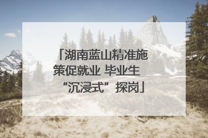 湖南蓝山精准施策促就业 毕业生“沉浸式”探岗