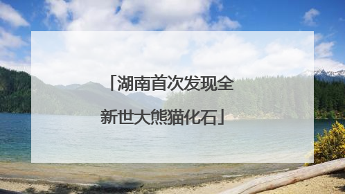 湖南首次发现全新世大熊猫化石