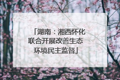 湖南：湘西怀化联合开展改善生态环境民主监督