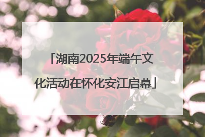 湖南2025年端午文化活动在怀化安江启幕