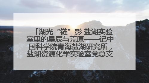 湖光“链”影 盐湖实验室里的星辰与荒原——记中国科学院青海盐湖研究所，盐湖资源化学实验室党总支书记、副主任刘忠