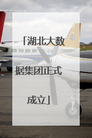 湖北大数据集团正式成立