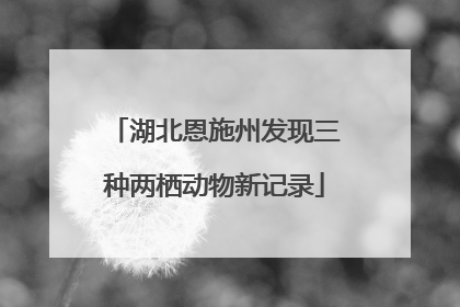 湖北恩施州发现三种两栖动物新记录