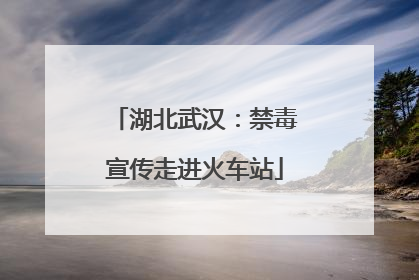 湖北武汉：禁毒宣传走进火车站