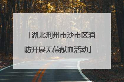 湖北荆州市沙市区消防开展无偿献血活动