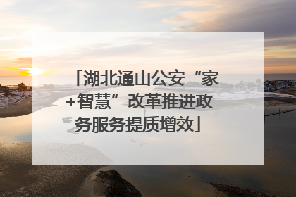 湖北通山公安“家+智慧”改革推进政务服务提质增效