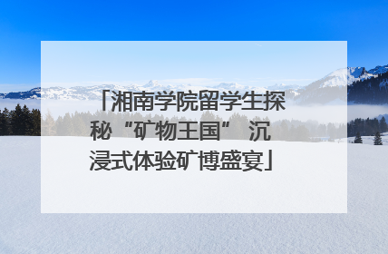 湘南学院留学生探秘“矿物王国” 沉浸式体验矿博盛宴