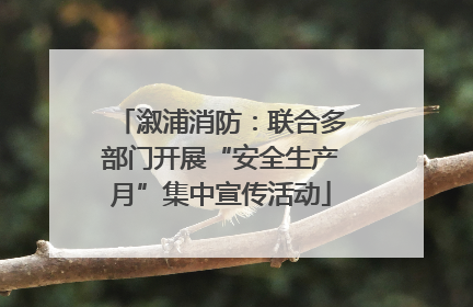 溆浦消防：联合多部门开展“安全生产月”集中宣传活动