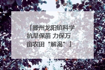 滕州龙阳镇科学抗旱保苗 力保万亩农田“解渴”