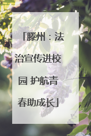 滕州：法治宣传进校园 护航青春助成长