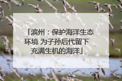 滨州：保护海洋生态环境 为子孙后代留下充满生机的海洋