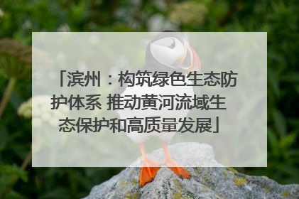 滨州：构筑绿色生态防护体系 推动黄河流域生态保护和高质量发展