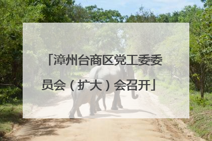 漳州台商区党工委委员会（扩大）会召开