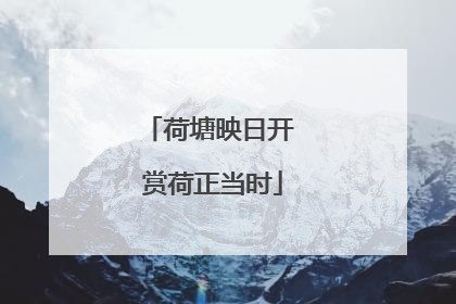 荷塘映日开 赏荷正当时