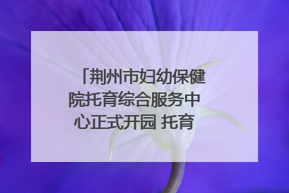 荆州市妇幼保健院托育综合服务中心正式开园 托育宣传月同步启动