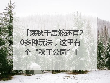 荡秋千居然还有20多种玩法，这里有个“秋千公园”