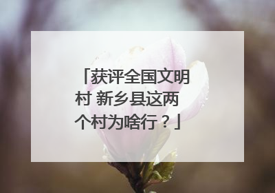 获评全国文明村 新乡县这两个村为啥行？