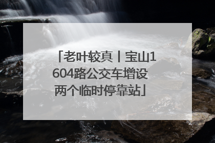 老叶较真丨宝山1604路公交车增设两个临时停靠站