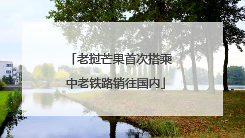 老挝芒果首次搭乘中老铁路销往国内