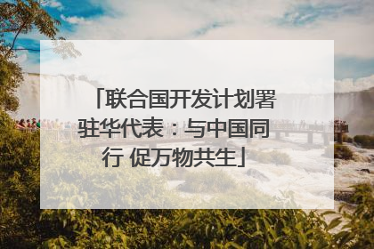 联合国开发计划署驻华代表：与中国同行 促万物共生