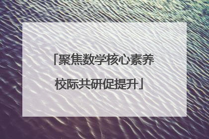 聚焦数学核心素养 校际共研促提升
